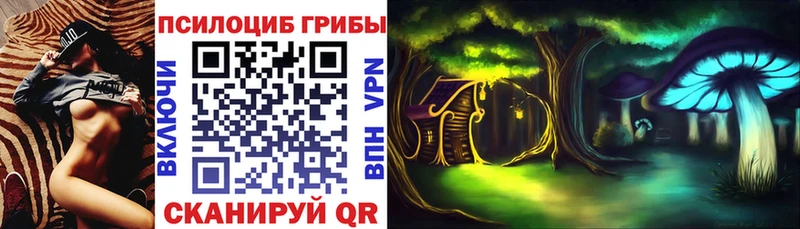 цены наркотик МЕГА вход Галлюциногенные грибы Cubensis Курлово